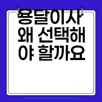 9745d5e3f33145cc72825ca8f2d8134b.webp