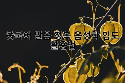 중국어 발음 정복: 음성학 임도 활용법
