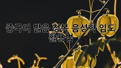 중국어 발음 정복: 음성학 임도 활용법