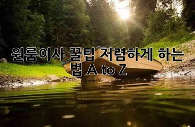 원룸이사 꿀팁🍯 저렴하게 하는 법 A to Z