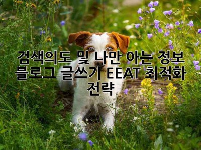 검색의도 및 나만 아는 정보: 블로그 글쓰기 EEAT 최적화 전략