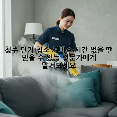 청주 단기 청소 서비스: 시간 없을 땐? 믿을 수 있는 전문가에게 맡겨보세요!