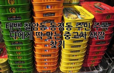 태백 철암동, 동점동 주민 주목! 👀 나에게 딱 맞는 중고차 색깔 찾기 🎨