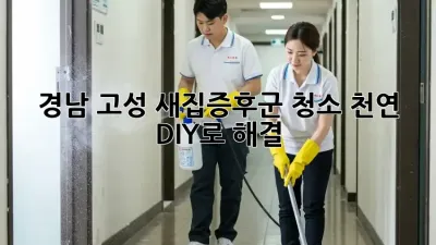 경남 고성 새집증후군 청소, 천연 DIY로 해결! 🏡✨