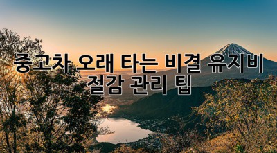중고차 오래 타는 비결: 유지비 절감 관리 팁