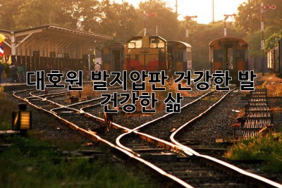 대호원 발지압판: 건강한 발 건강한 삶