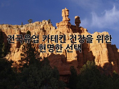 건국유업 카테킨: 건강을 위한 현명한 선택