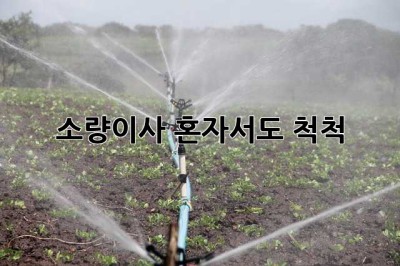 소량이사, 혼자서도 척척!