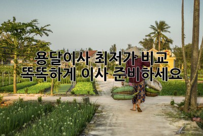 용달이사 최저가 비교, 똑똑하게 이사 준비하세요!
