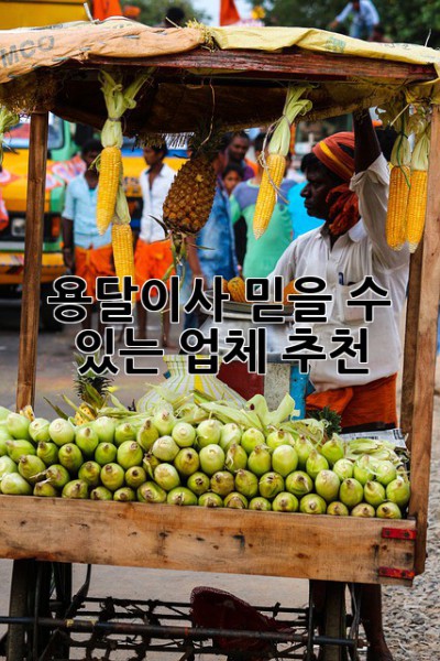 용달이사, 믿을 수 있는 업체 추천!
