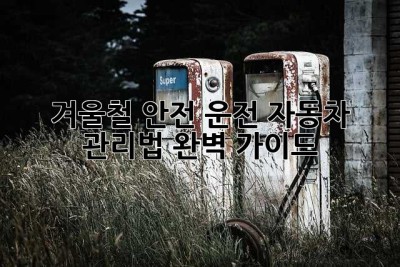 겨울철 안전 운전, 자동차 관리법 완벽 가이드