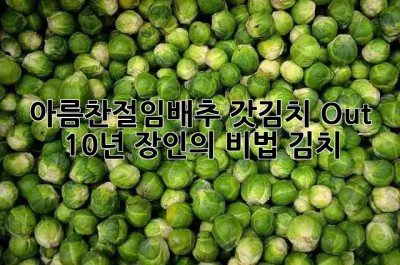 아름찬절임배추, 갓김치 Out! 10년 장인의 ✨비법 김치✨