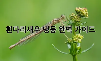 흰다리새우 냉동: 완벽 가이드