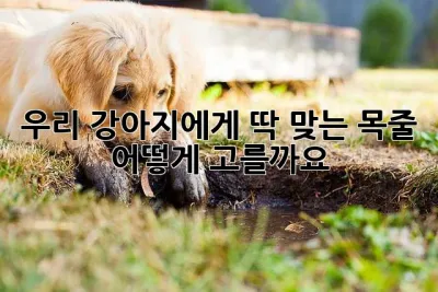 우리 강아지에게 딱 맞는 목줄, 어떻게 고를까요?