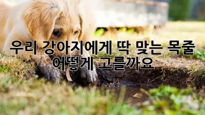 우리 강아지에게 딱 맞는 목줄, 어떻게 고를까요?