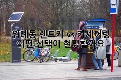 위례동 렌트카 vs 카셰어링: 어떤 선택이 현명할까요?