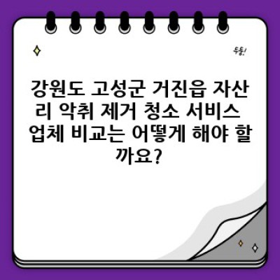 강원도 고성군 거진읍 자산리 악취 제거 청소 서비스: 완벽한 청결을 위한 모든 것