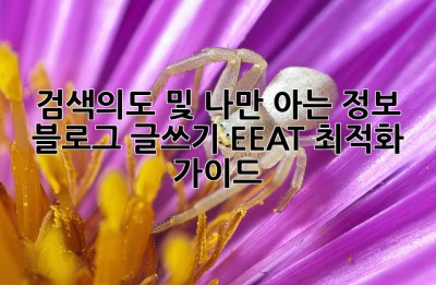 검색의도 및 나만 아는 정보:  블로그 글쓰기 EEAT 최적화 가이드