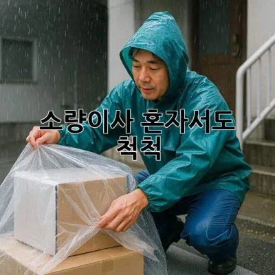 소량이사, 혼자서도 척척!