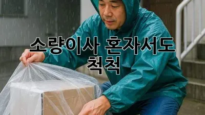 소량이사, 혼자서도 척척!